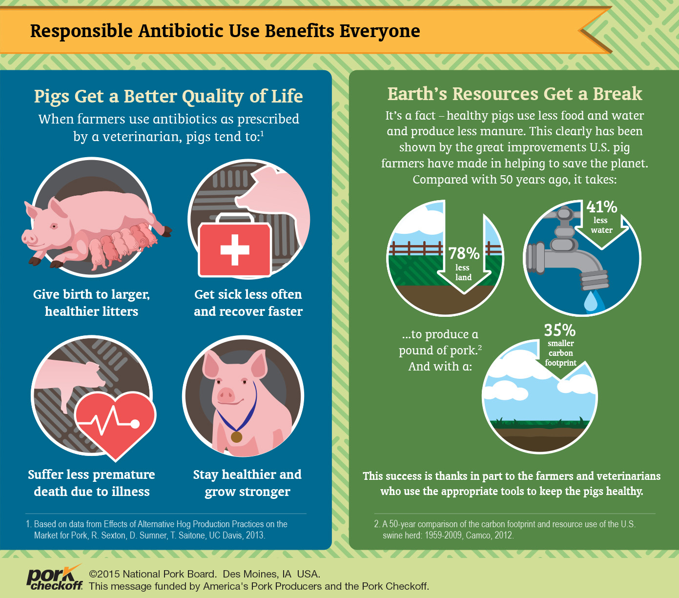Life Cycle of a Market Pig Pork Checkoff